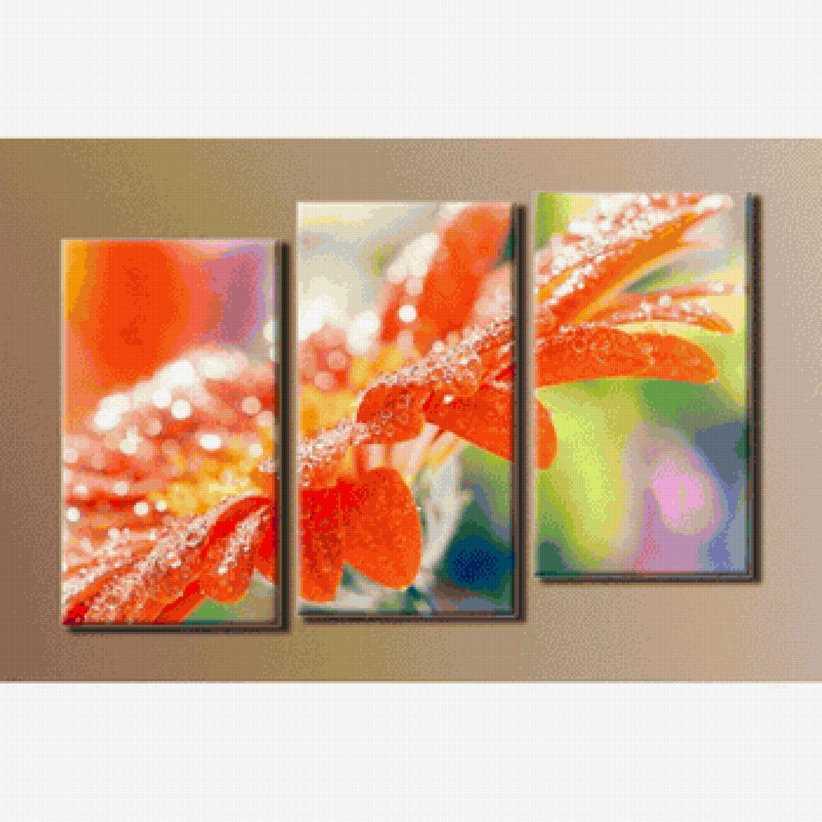 Гербера - гербера, цветы, роса, модульные - предпросмотр