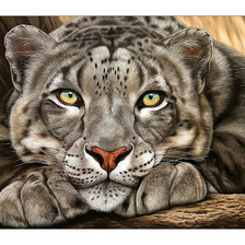 Схема вышивки «№2178355»