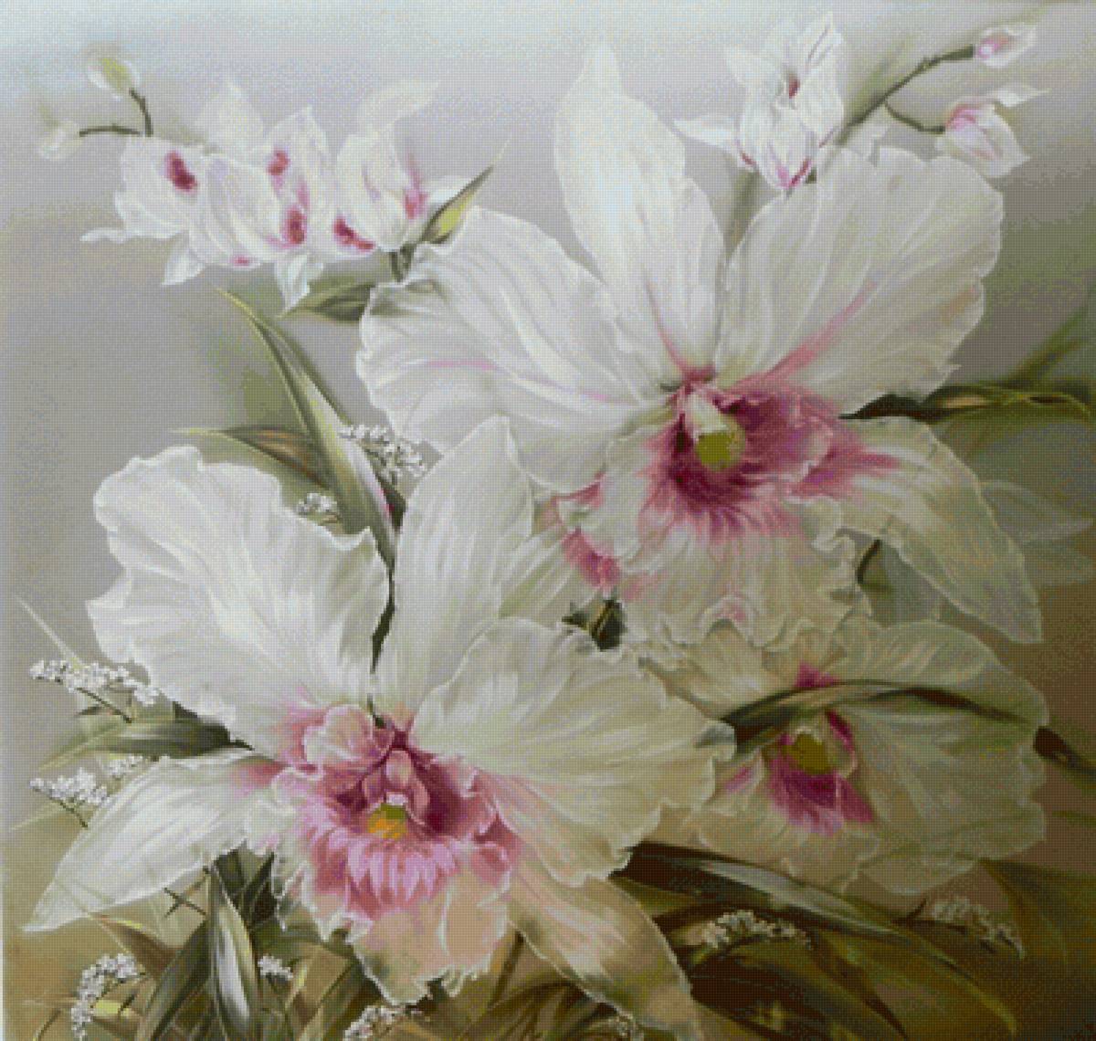 Orquídea - flores. - предпросмотр