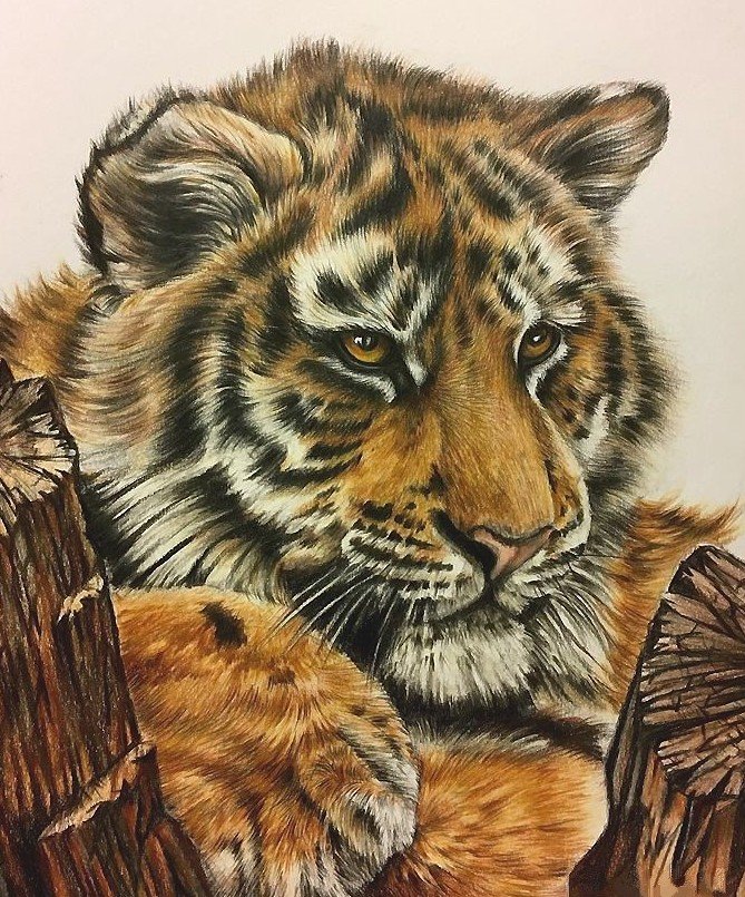 №2178665 - оригинал