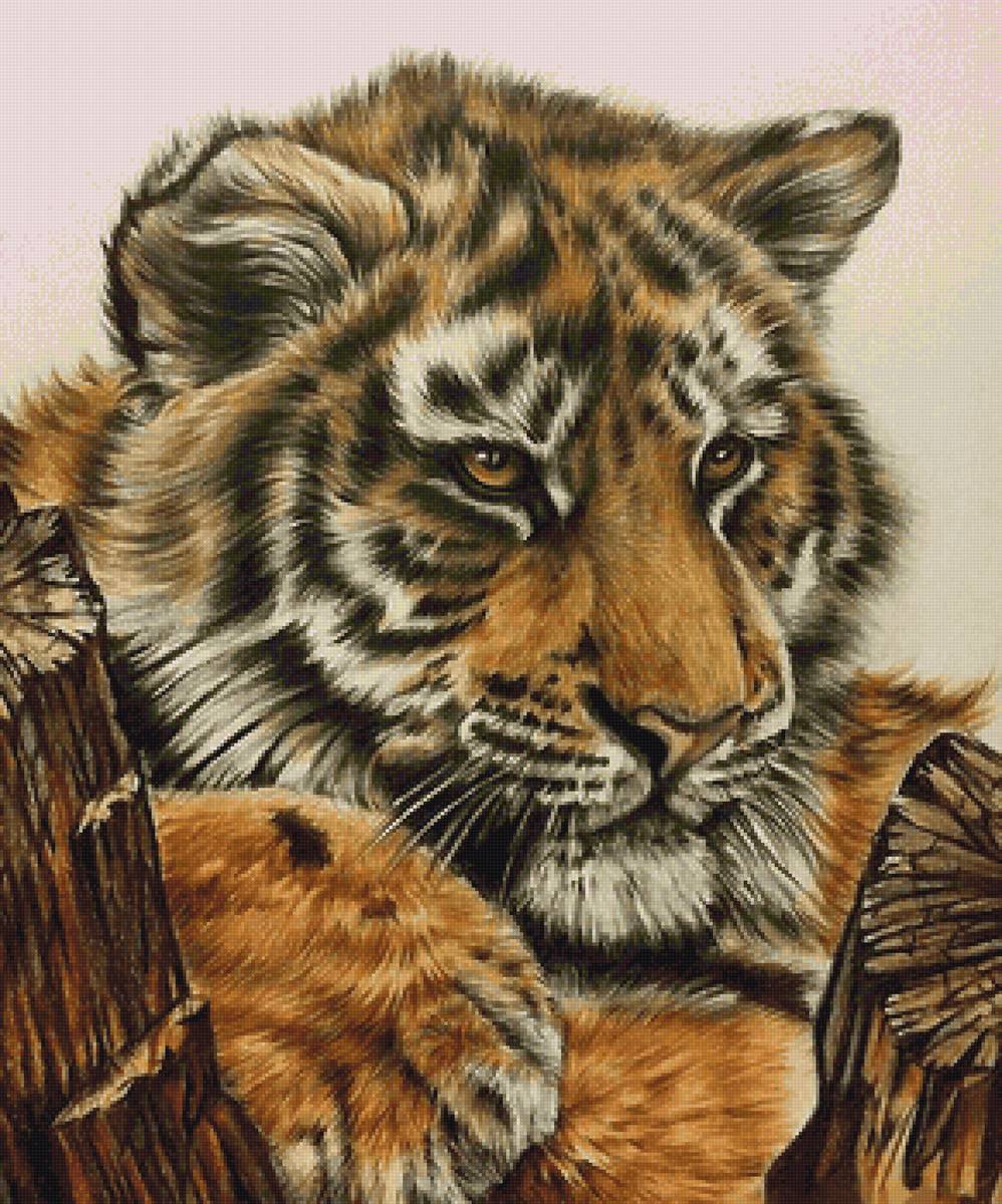 №2178665 - предпросмотр