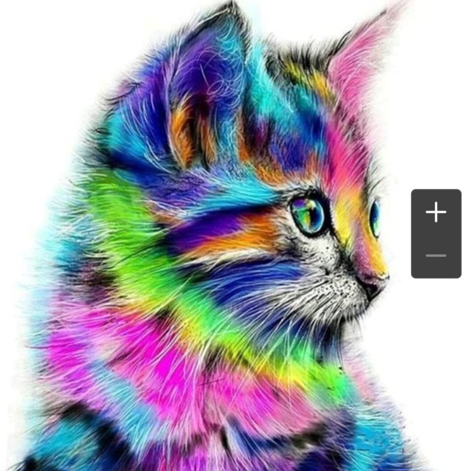Duhová kočka - оригинал