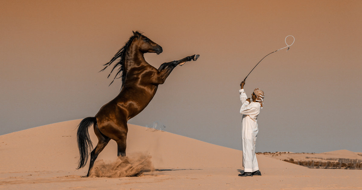 Арабы - мужчина, конь, пустыня - оригинал