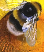 Схема вышивки «№2179411»