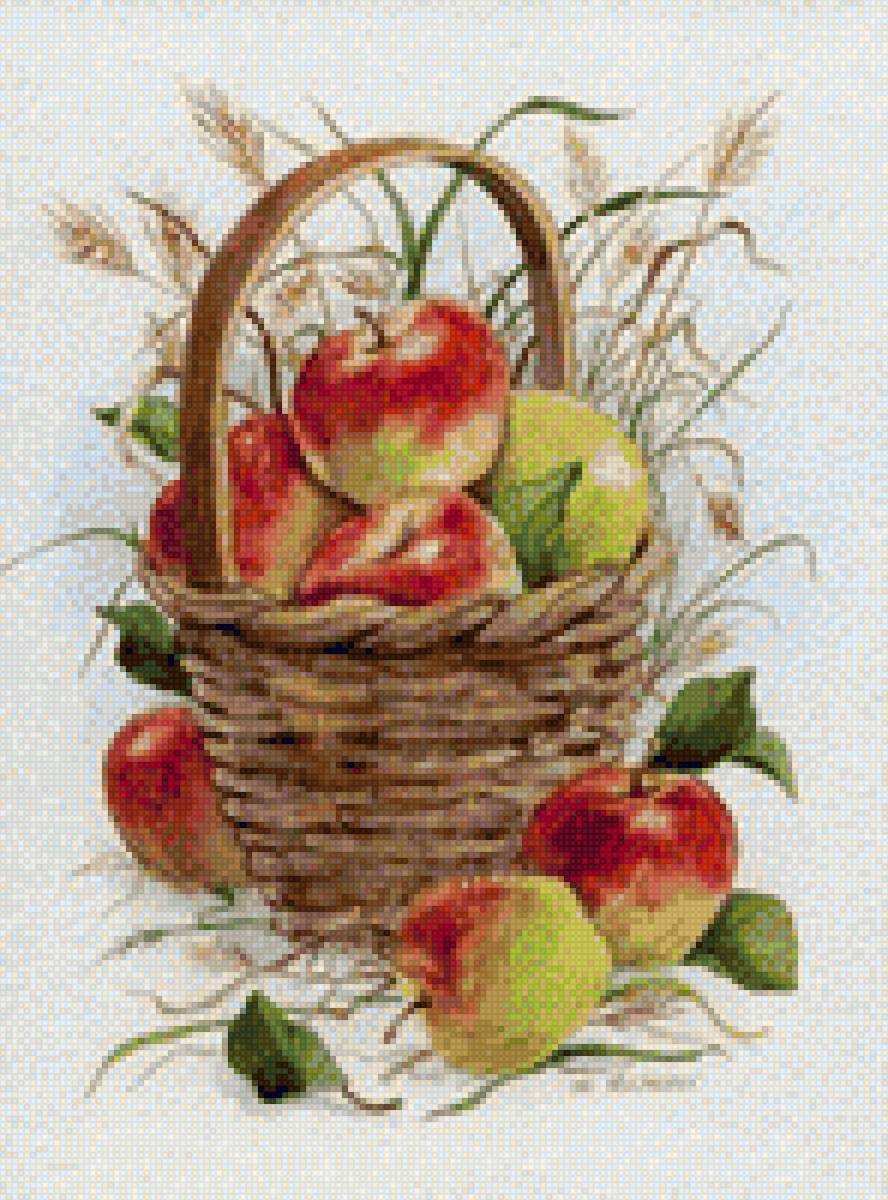 Яблоки в корзине - корзина яблоки - предпросмотр