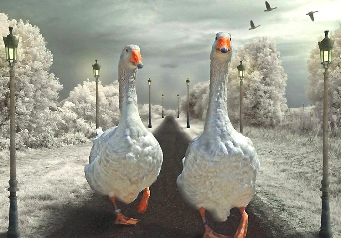 №2179897 - оригинал