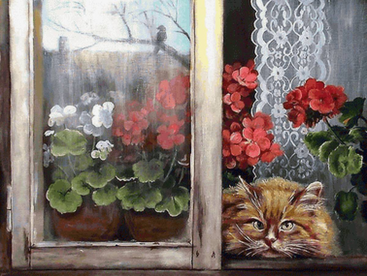 кот и герань - кот, герань, окно - предпросмотр