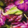 Предпросмотр схемы вышивки «цветочный салат» (№2179912)