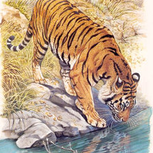 Оригинал схемы вышивки «Тигр 1» (№2179930)