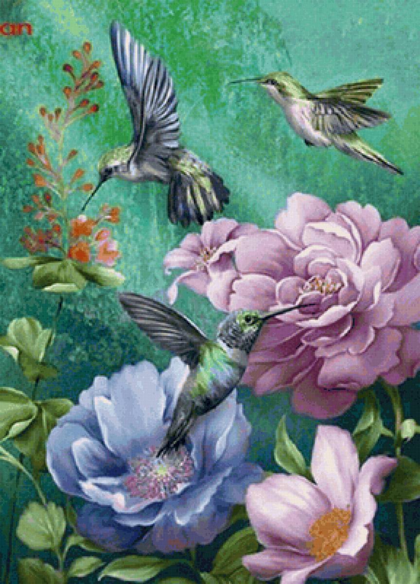 ПТИЦЫ,ЦВЕТЫ - предпросмотр