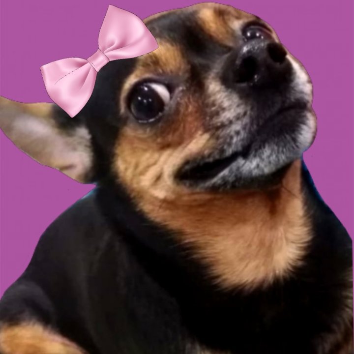 Бантик и Боня - оригинал