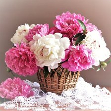 Схема вышивки «№2180213»