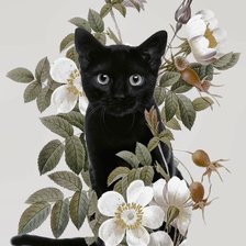 Схема вышивки «Gato com flores.»