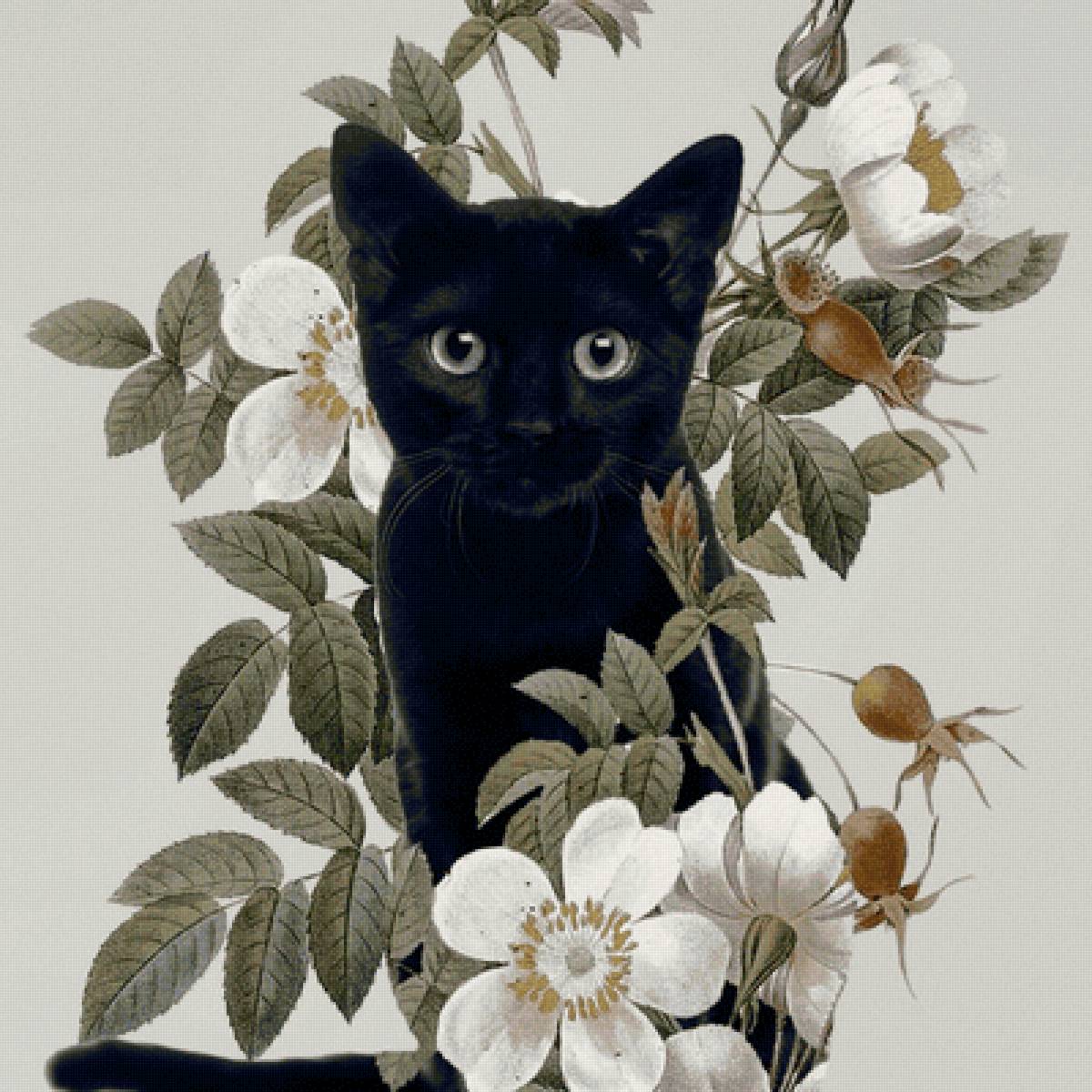 Gato com flores. - flores.animais - предпросмотр