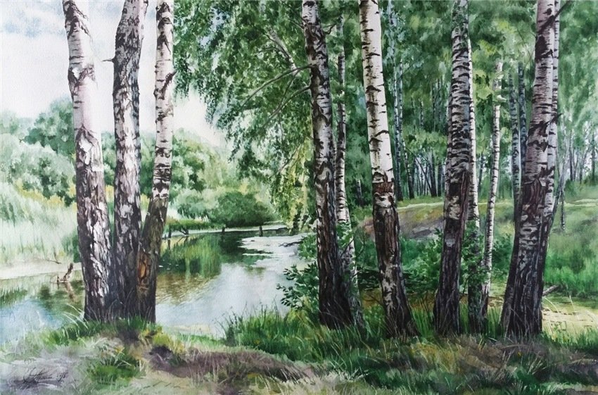 Березы - пейзаж, березы - оригинал