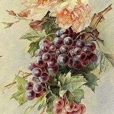 Схема вышивки «№2180453»