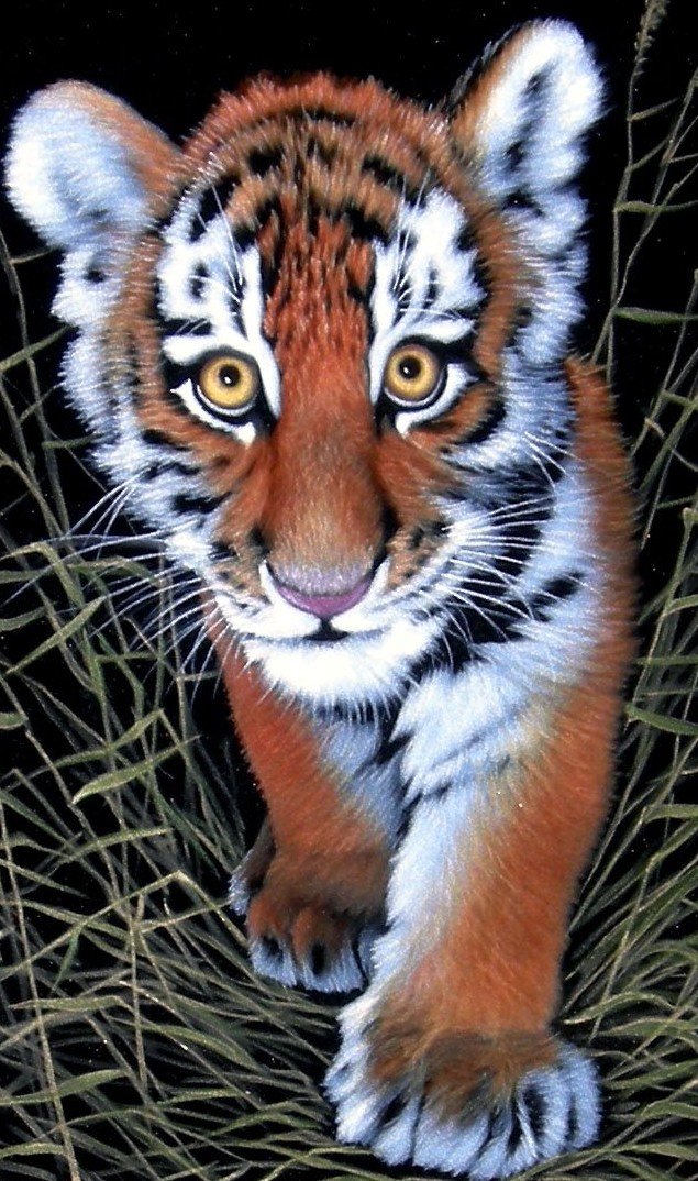 тигрёнок - оригинал