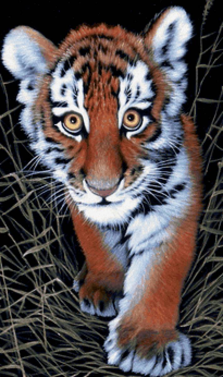 тигрёнок - предпросмотр