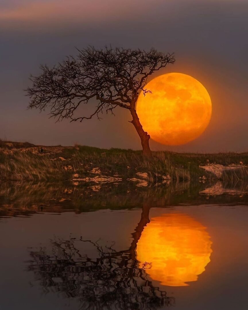 На закате - оригинал