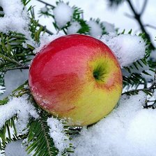 яблоко на снегу