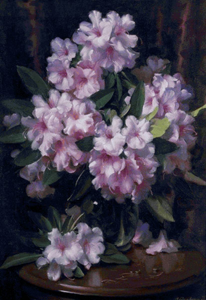 Boque de azaleia, - flores.boque - предпросмотр