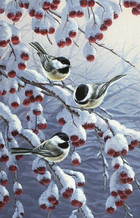 птицы - оригинал