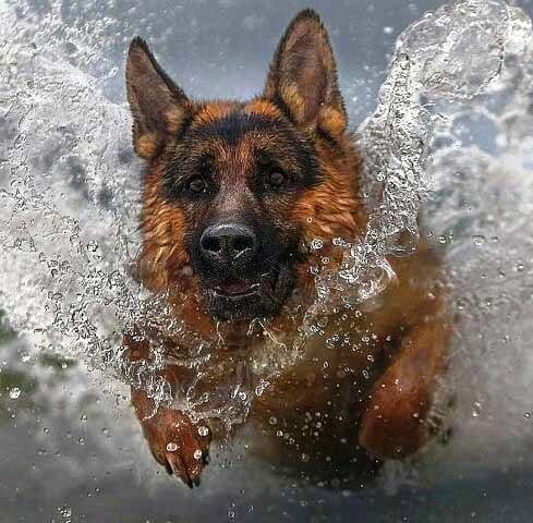 №2180945 - оригинал