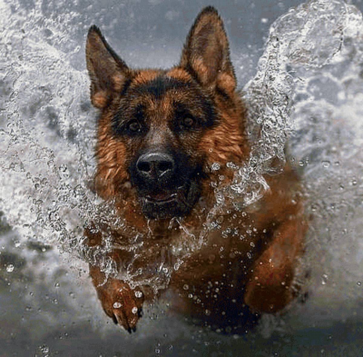 №2180945 - предпросмотр