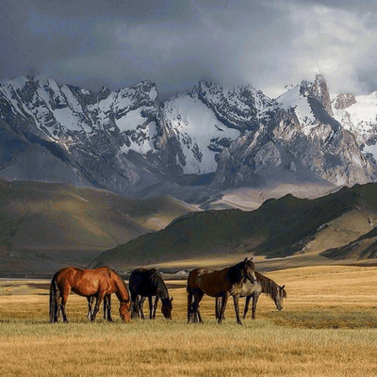 №2180986 - предпросмотр