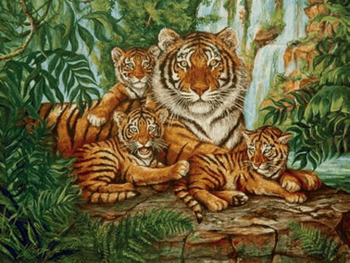 ТИГРИНАЯ СЕМЬЯ - предпросмотр