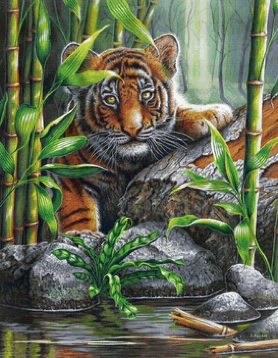 ТИГРЁНОК - предпросмотр