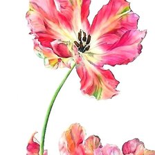 Схема вышивки «№2181068»