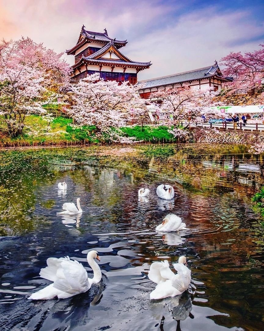 №2181100 - оригинал