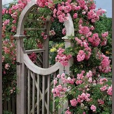 garden arch 2