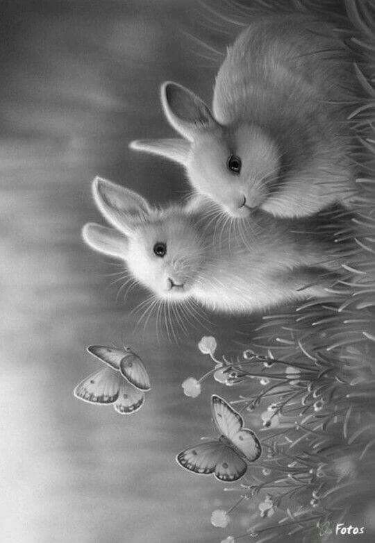 зайцы - животные, зайцы - оригинал