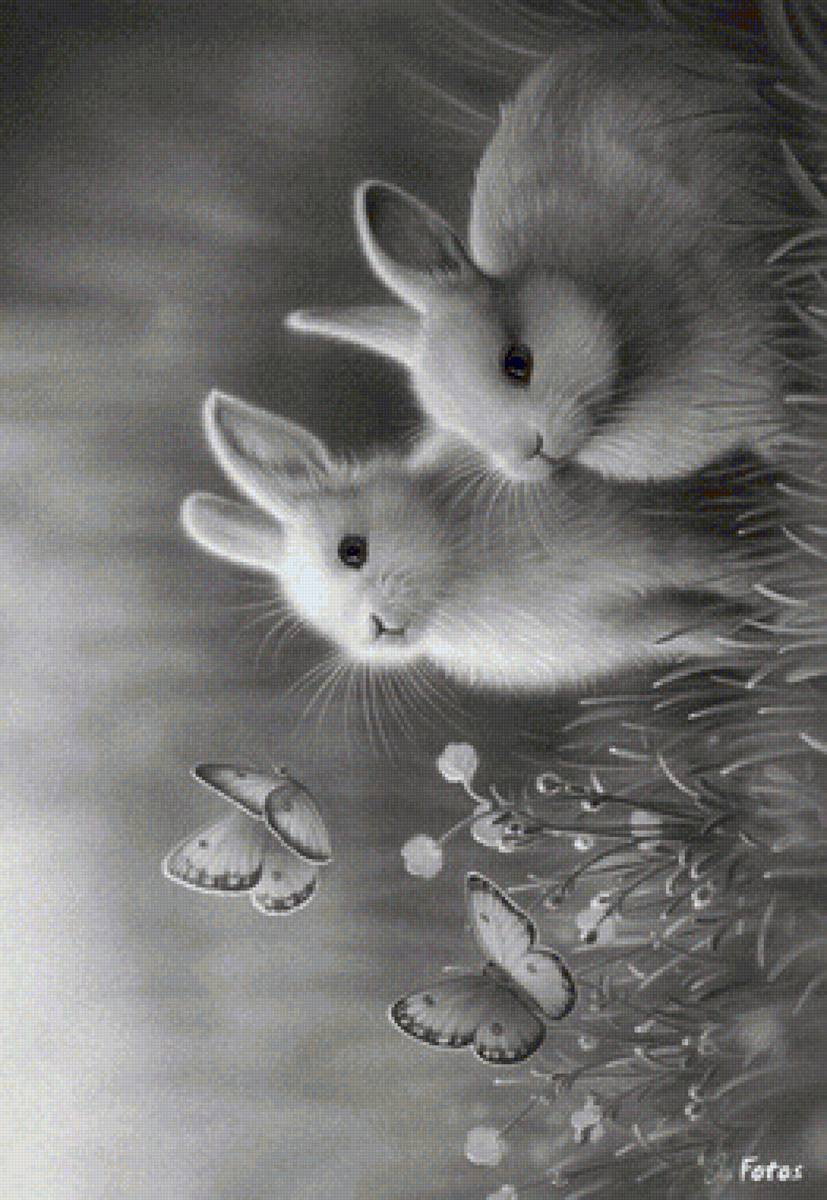 зайцы - животные, зайцы - предпросмотр