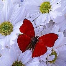 Схема вышивки «№2181960»