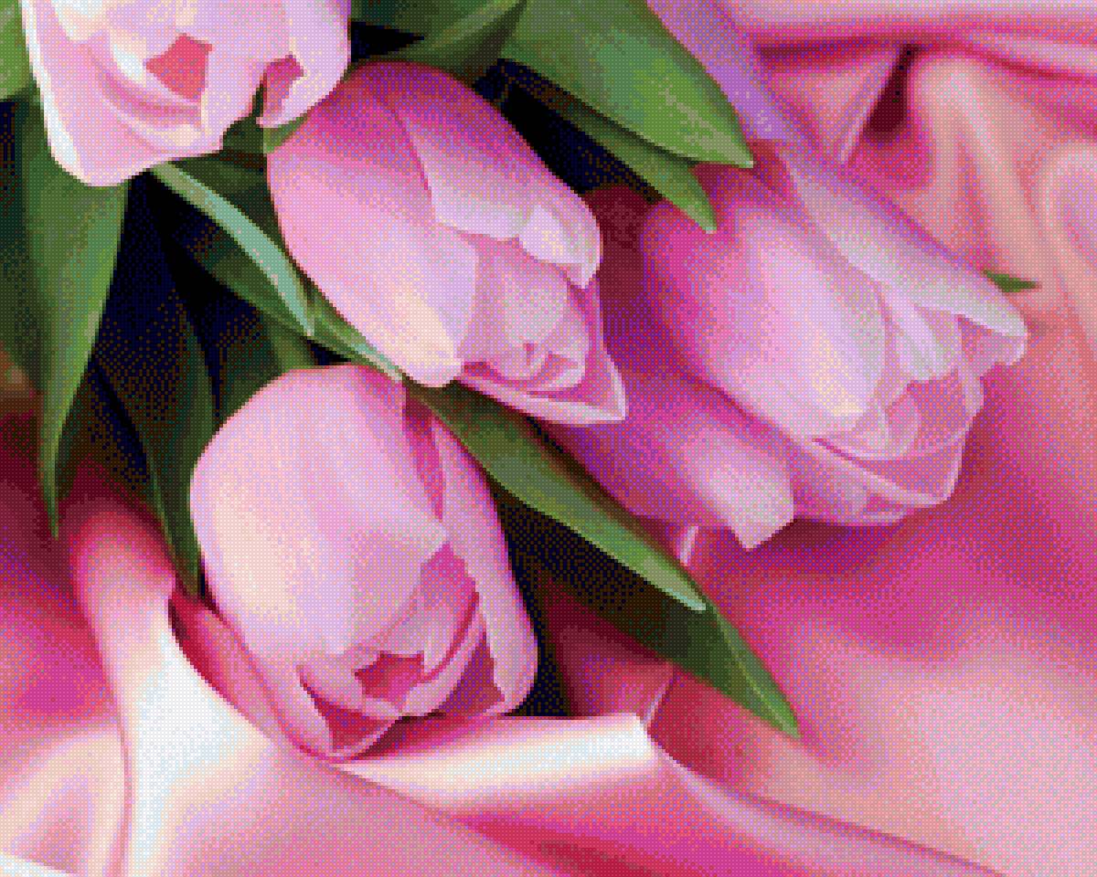 тюльпаны - цветы, тюльпан - предпросмотр