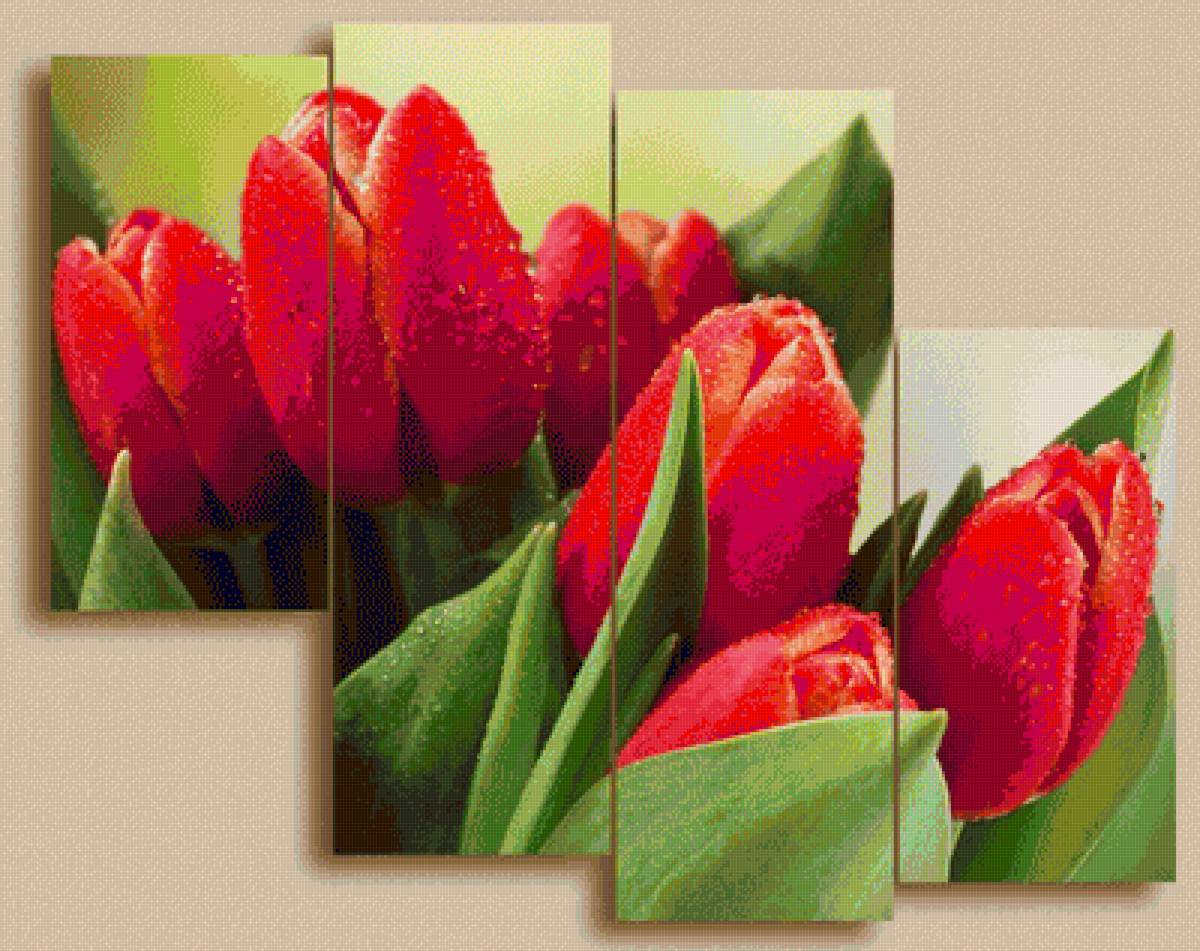 тюльпаны - тюльпан, цветы - предпросмотр