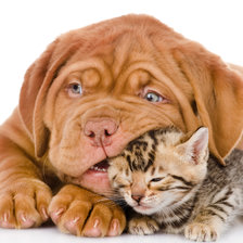 Схема вышивки «№2182789»