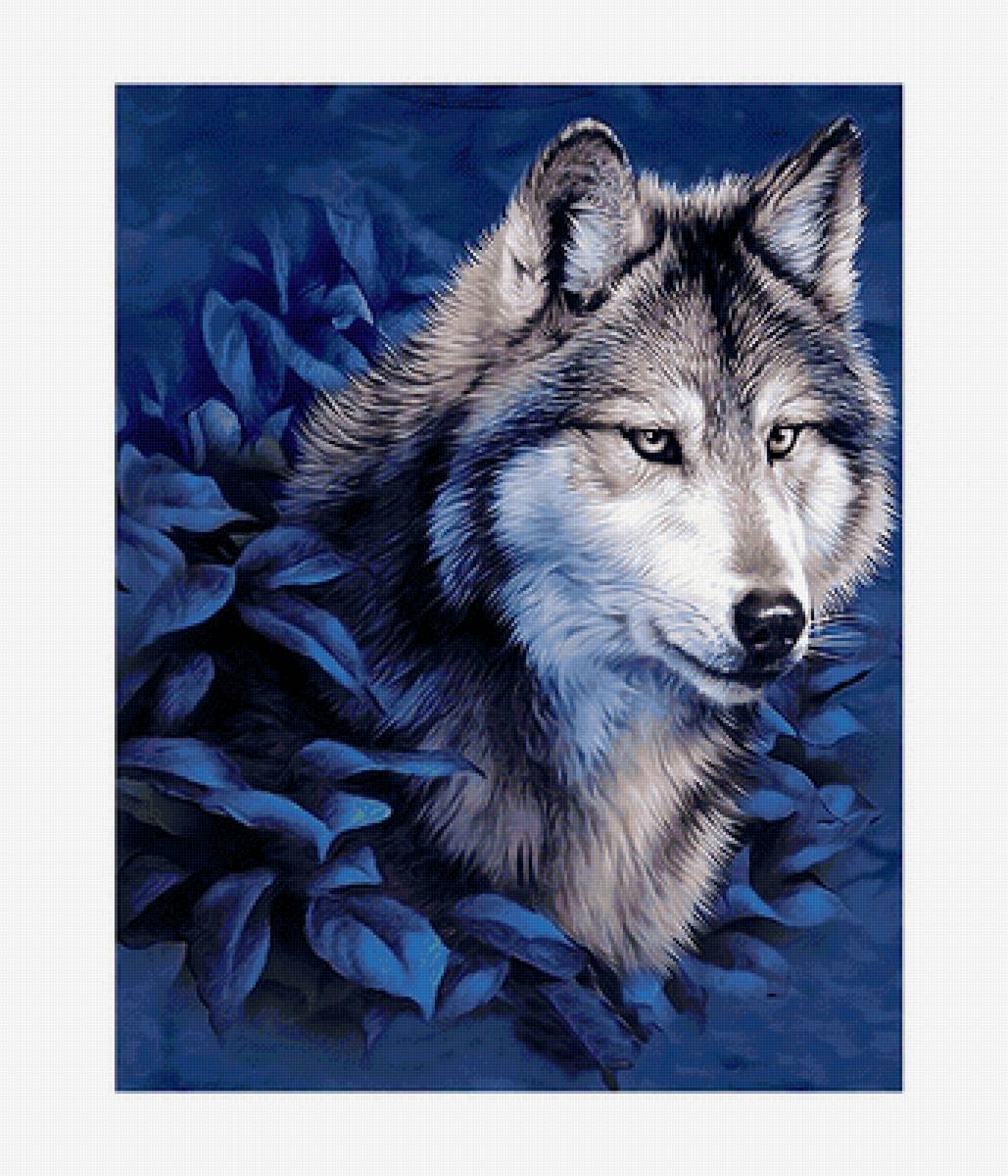 Серия "Хищники". Волк - животные, хищники, волк - предпросмотр