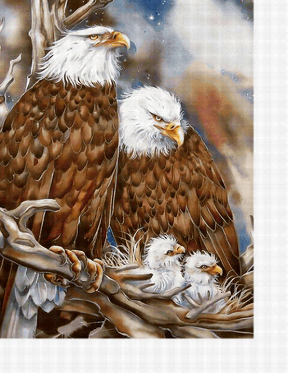 Серия "Птицы" - фауна, птицы - предпросмотр