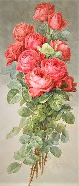 vintazh pink rose - птицы, цветы - оригинал