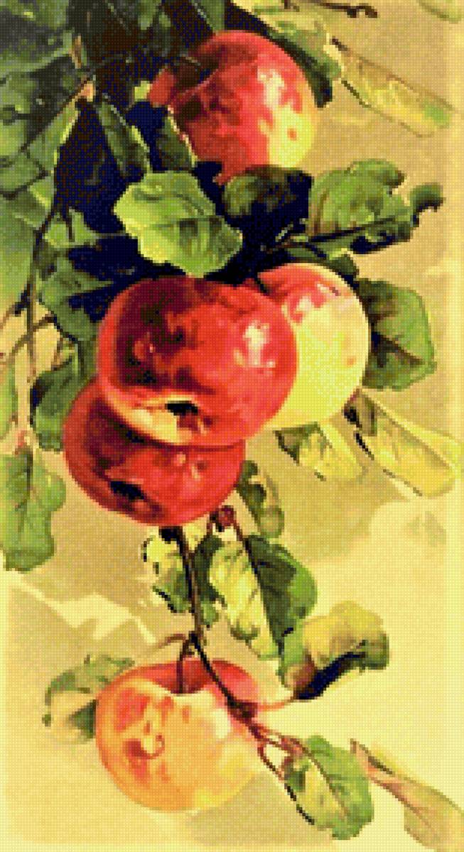 Apples - натюрморт - предпросмотр