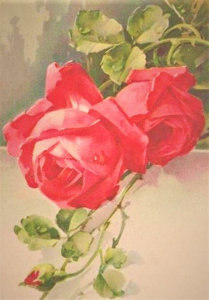 old rose red - цветы, птицы - оригинал