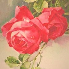 Оригинал схемы вышивки «old rose red» (№2183324)
