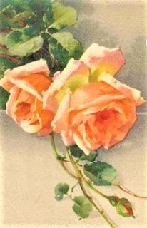 old rose orange - цветы, птицы - оригинал