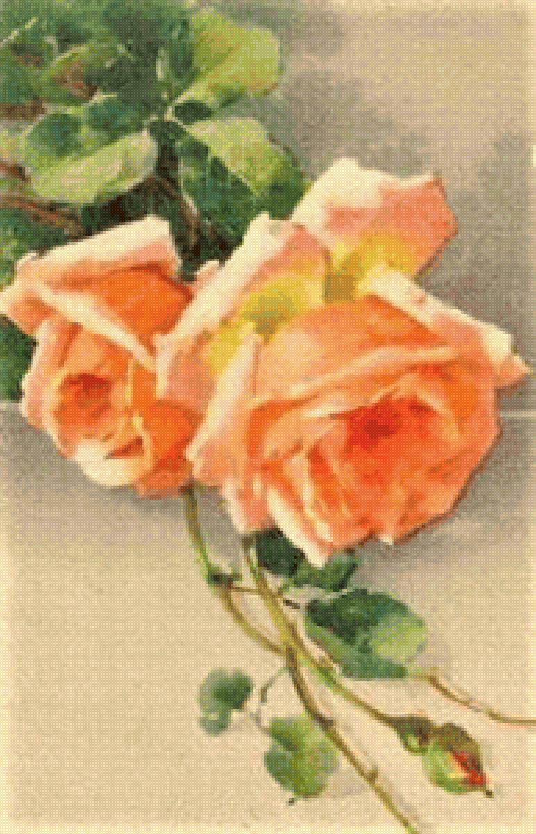 old rose orange - птицы, цветы - предпросмотр