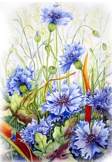 Vasilki - цветы, птицы - оригинал