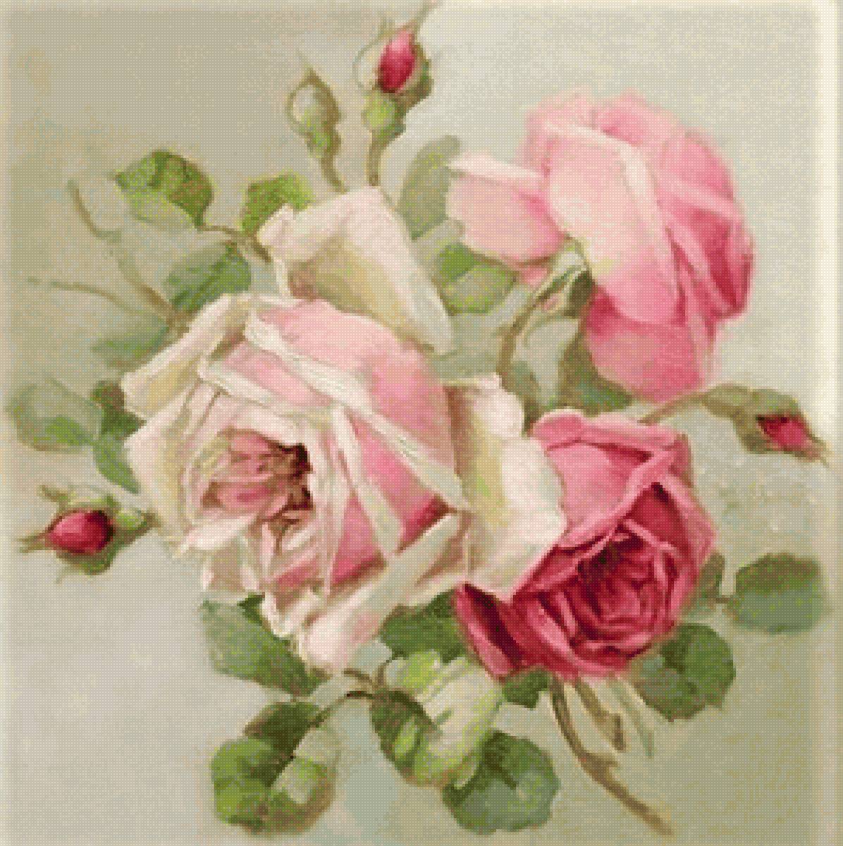 English old fashion roses - цветы, птицы - предпросмотр